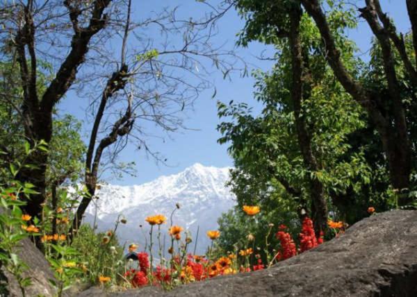 Mountain Villa Mcleodganj Dharamshala Ngoại thất bức ảnh