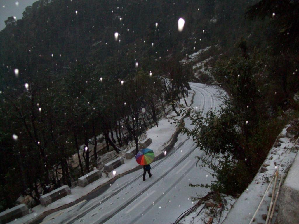 Mountain Villa Mcleodganj Dharamshala Ngoại thất bức ảnh